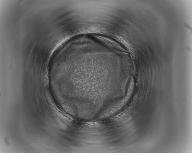X0000096390392200802141500