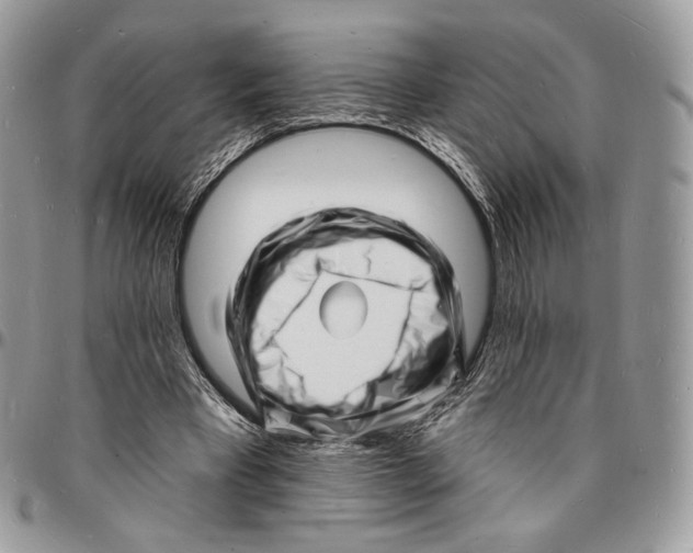 X0000096390393200802141500
