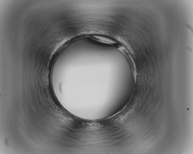 X0000096390395200802141500