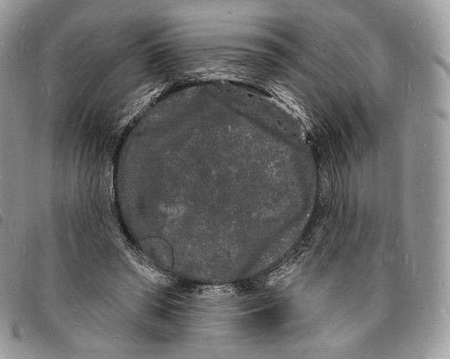 X0000096390398200802141500