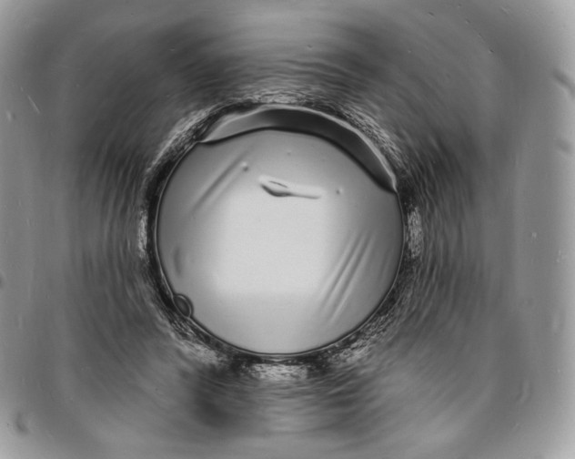 X0000096390400200802141500