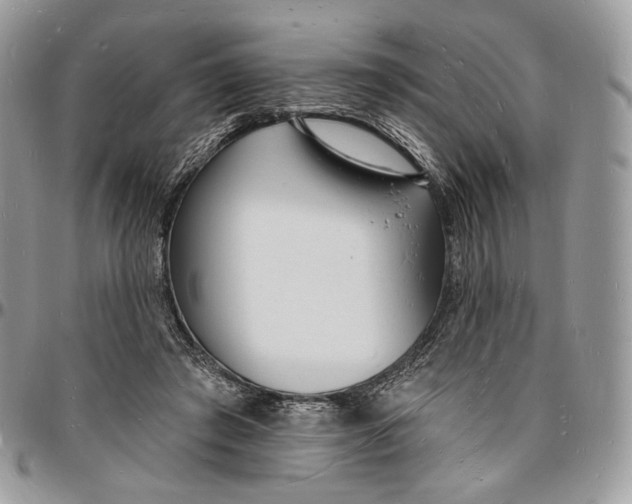 X0000096390401200802141500