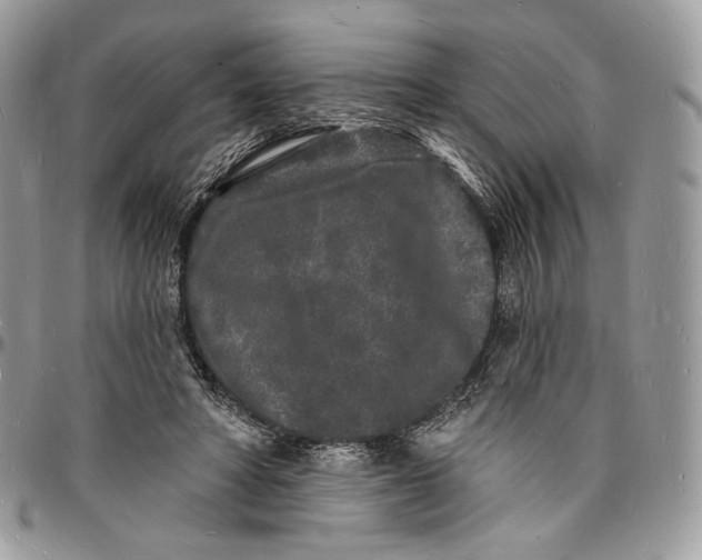 X0000096390402200802141500
