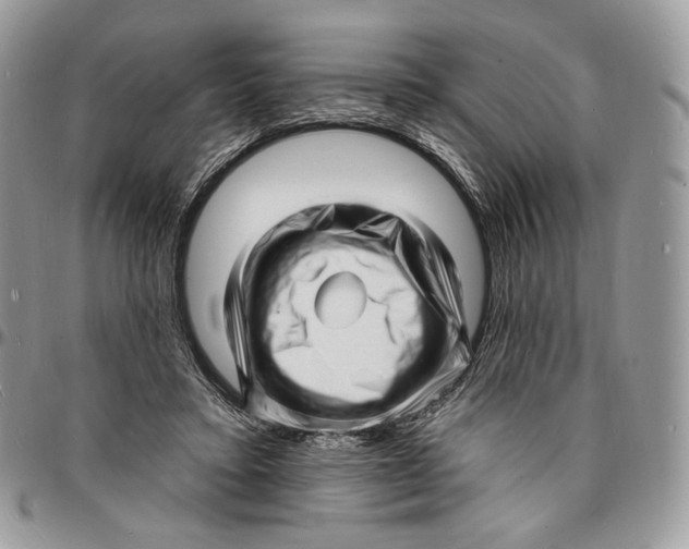 X0000096390403200802141500