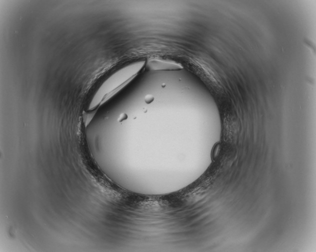 X0000096390404200802141500