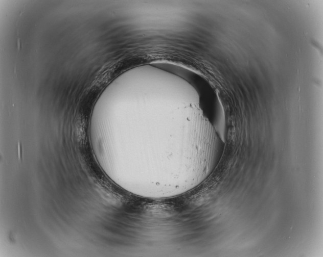 X0000096390408200802141459