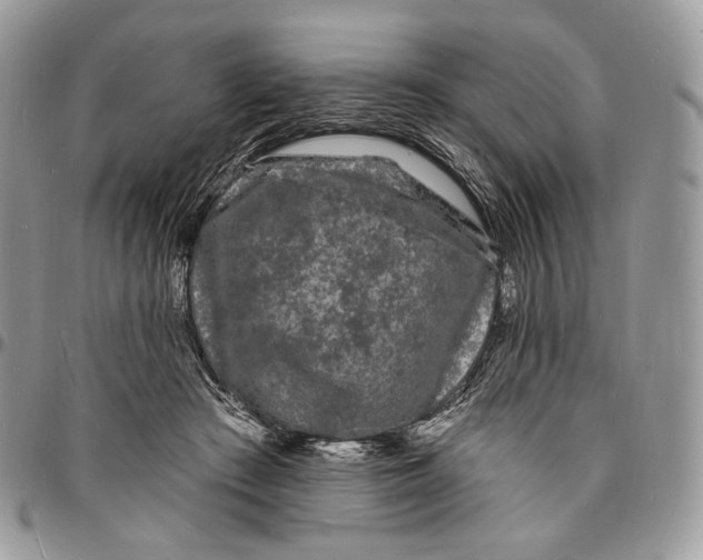 X0000096390409200802141459