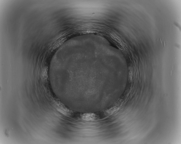 X0000096390410200802141459