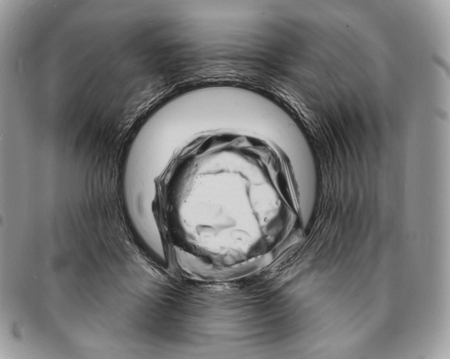 X0000096390411200802141459