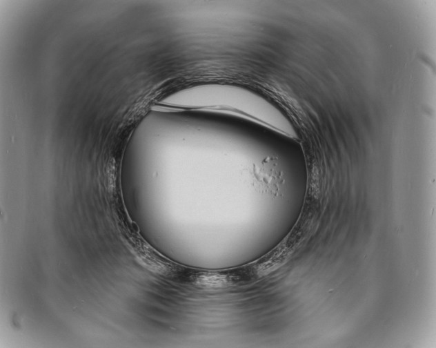 X0000096390413200802141459