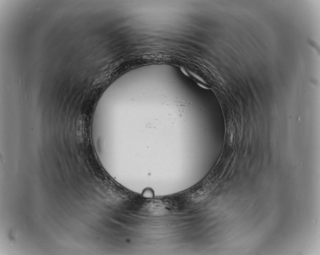 X0000096390416200802141459