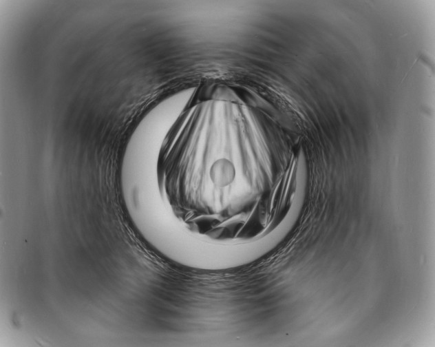 X0000096390417200802141459