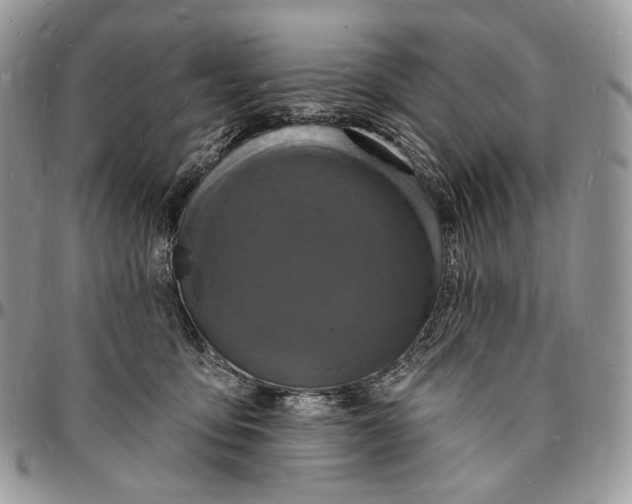 X0000096390419200802141459