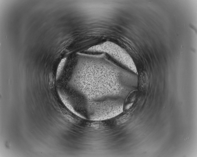 X0000096390420200802141459