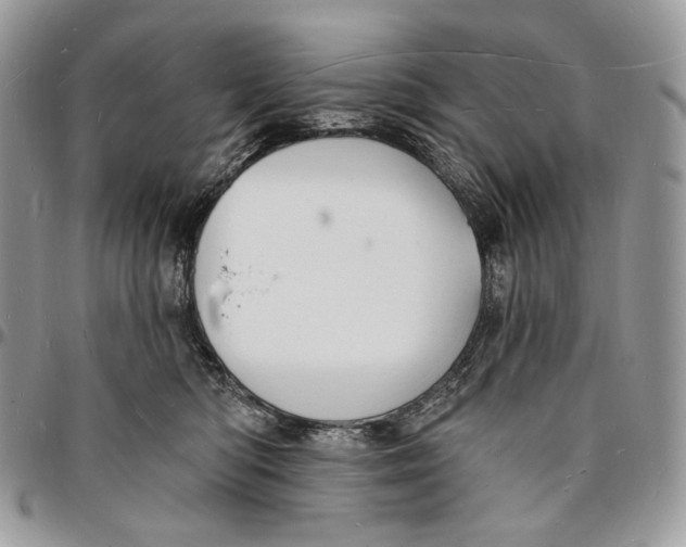 X0000096390422200802141459