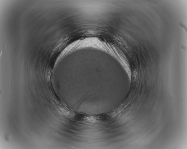 X0000096390423200802141459