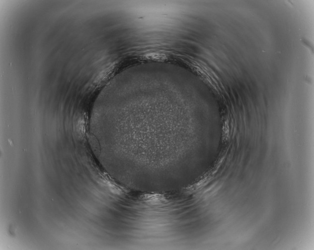 X0000096390424200802141459