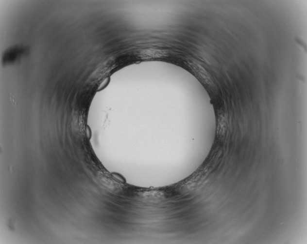 X0000096390426200802141459