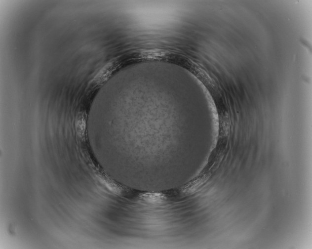 X0000096390427200802141459