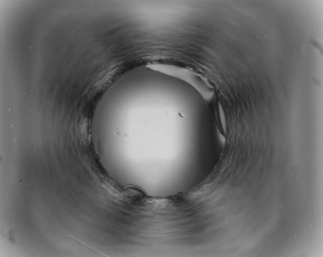 X0000096390428200802141459