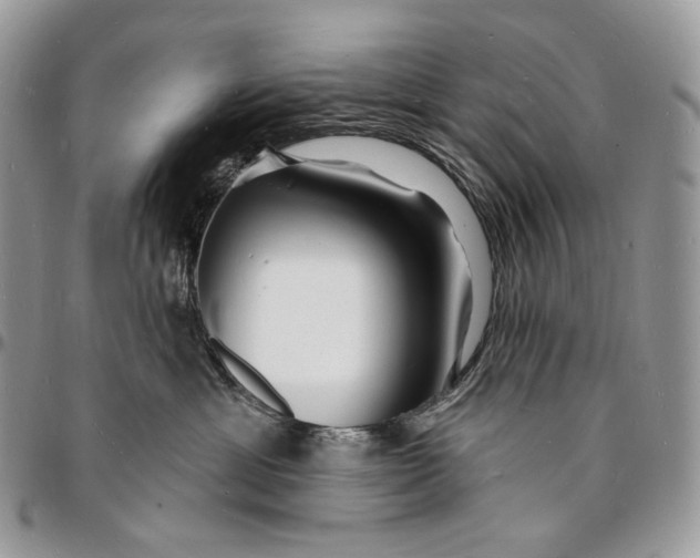 X0000096390429200802141459