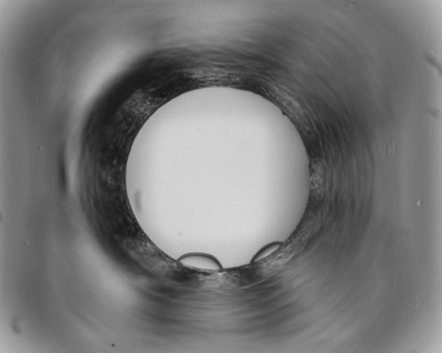 X0000096390430200802141459