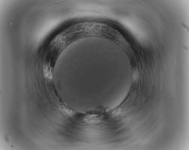 X0000096390431200802141459