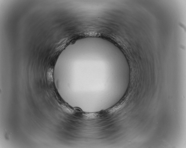 X0000096390432200802141459