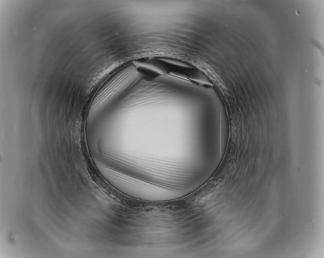 X0000096390434200802141458