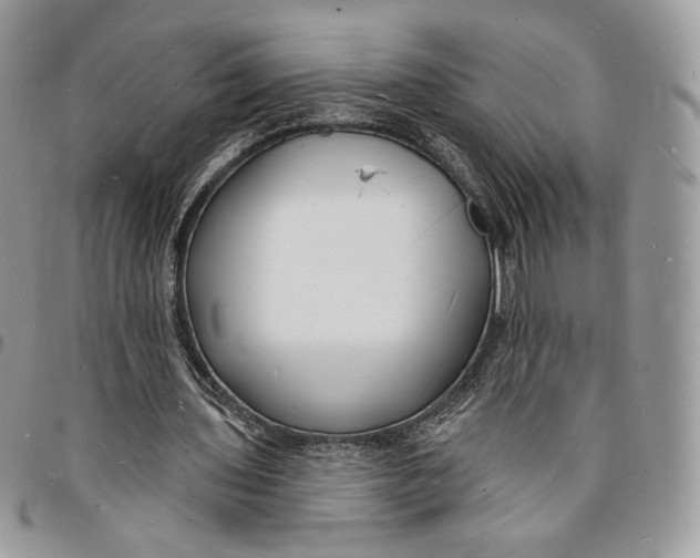 X0000096390435200802141458
