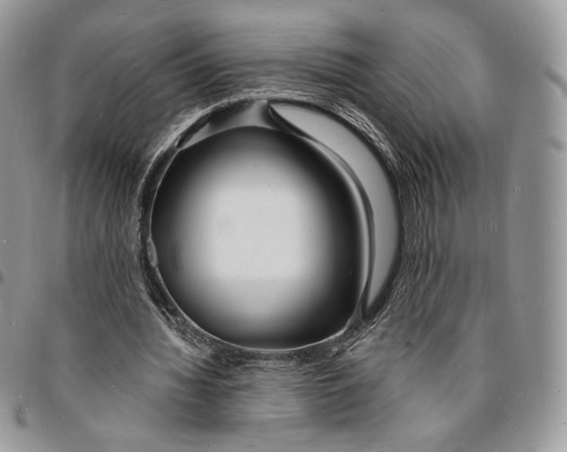 X0000096390436200802141458