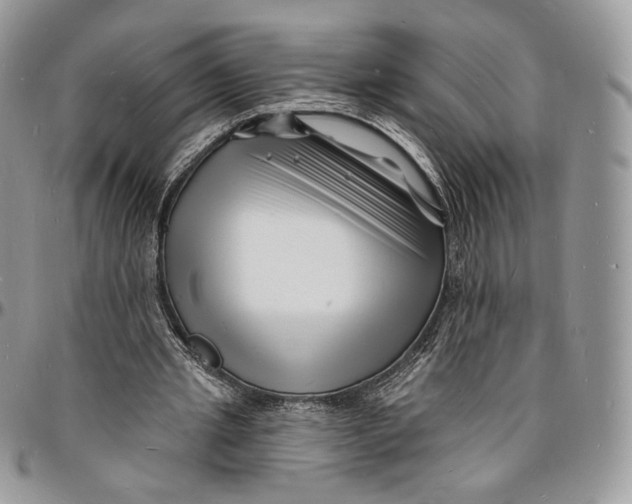 X0000096390437200802141458
