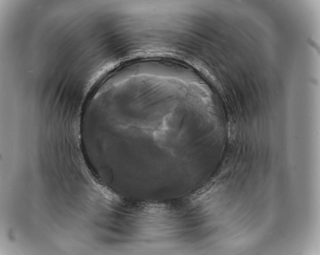 X0000096390438200802141458