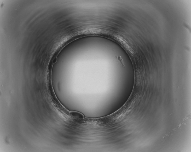 X0000096390439200802141458