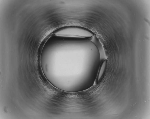 X0000096390440200802141458