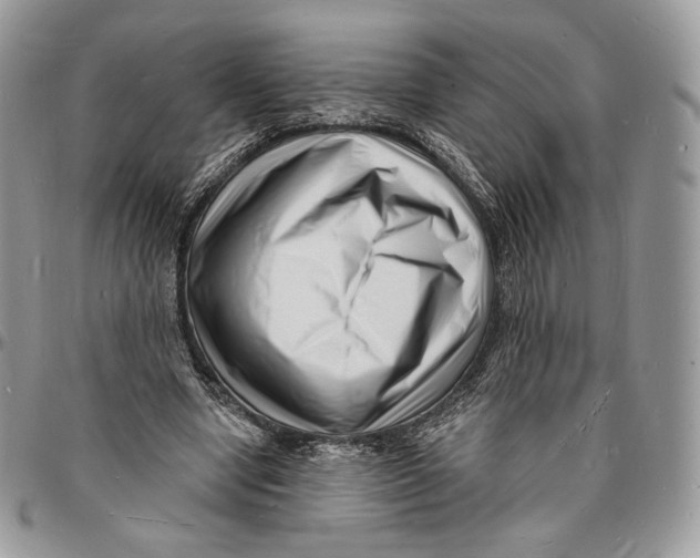 X0000096390442200802141458