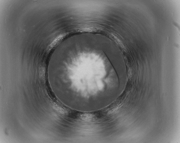 X0000096390444200802141458