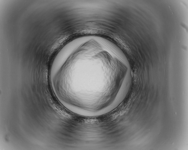 X0000096390446200802141459