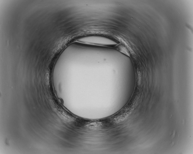 X0000096390447200802141459