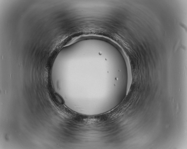 X0000096390448200802141459