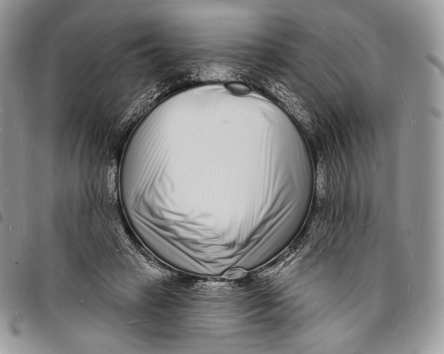 X0000096390449200802141459