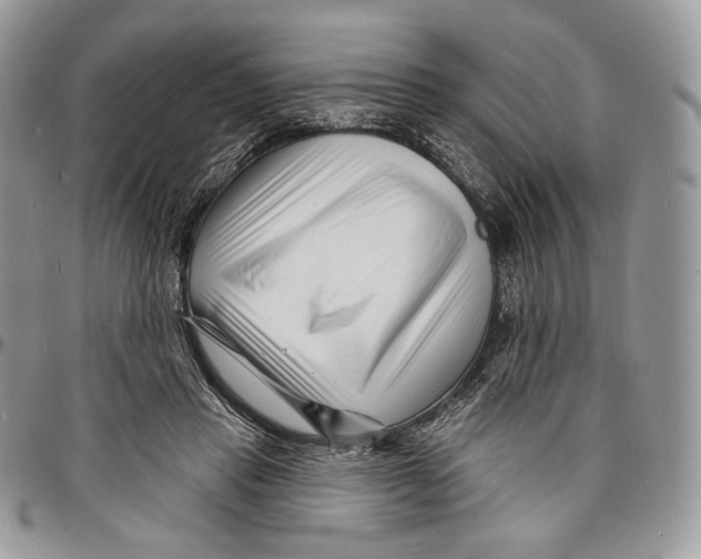 X0000096390453200802141459