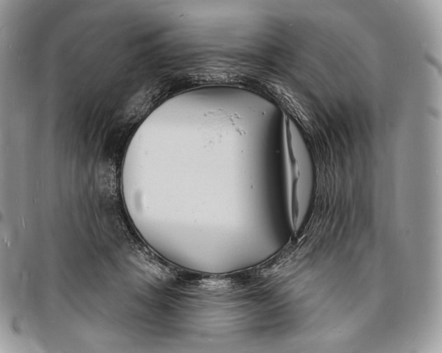 X0000096390457200802141459