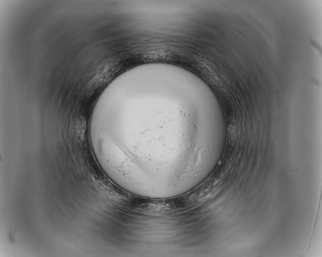 X0000096390458200802141459
