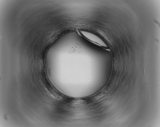 X0000096390459200802141459