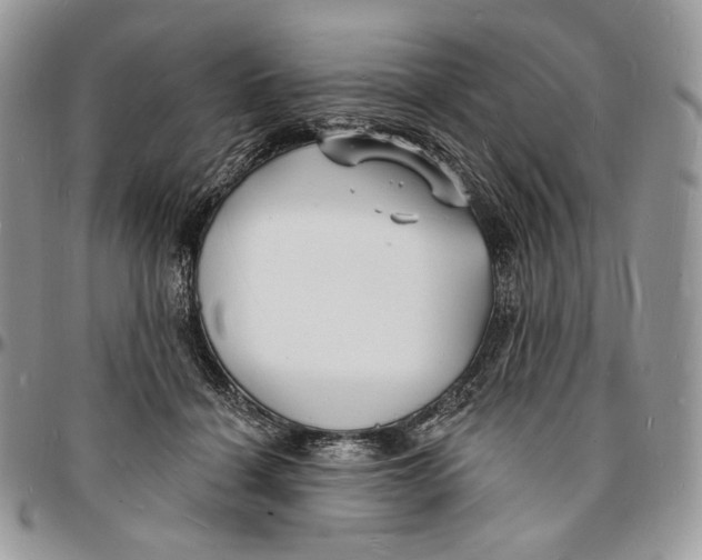 X0000096390460200802141459