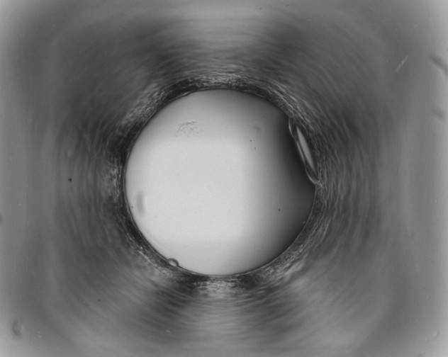 X0000096390462200802141459