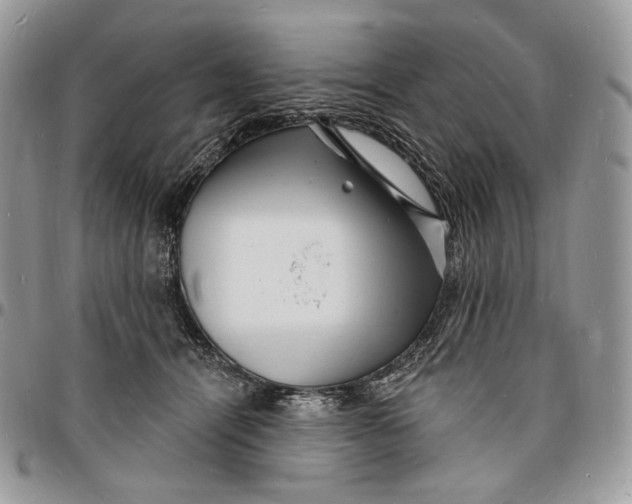 X0000096390464200802141459
