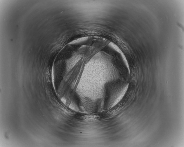 X0000096390465200802141459