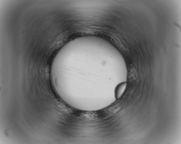 X0000096390466200802141459